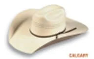 Atwood Calgary Shantung Straw Hat