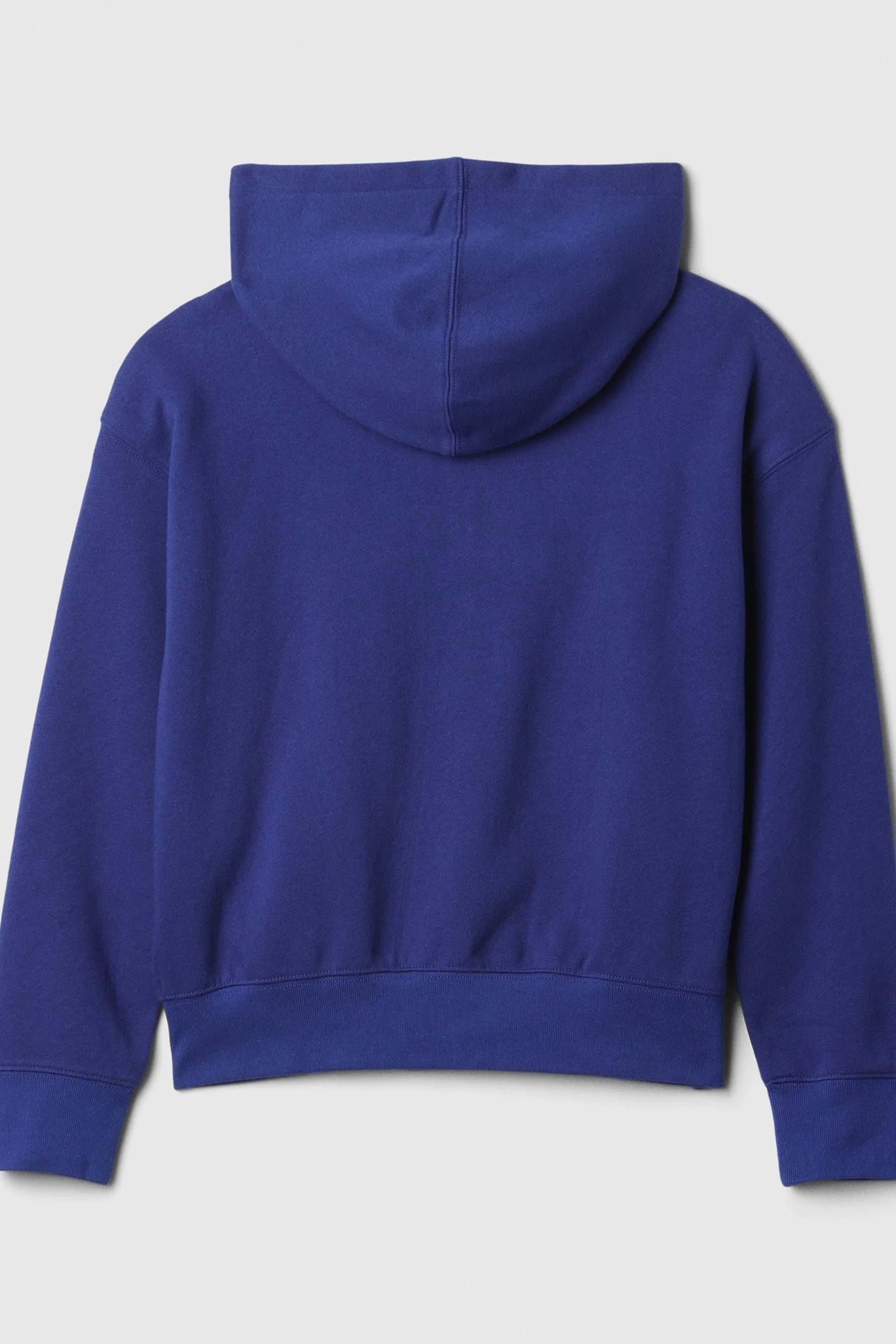 Blue Logo Graphic Zip Up Hoodie (4-13yrs)