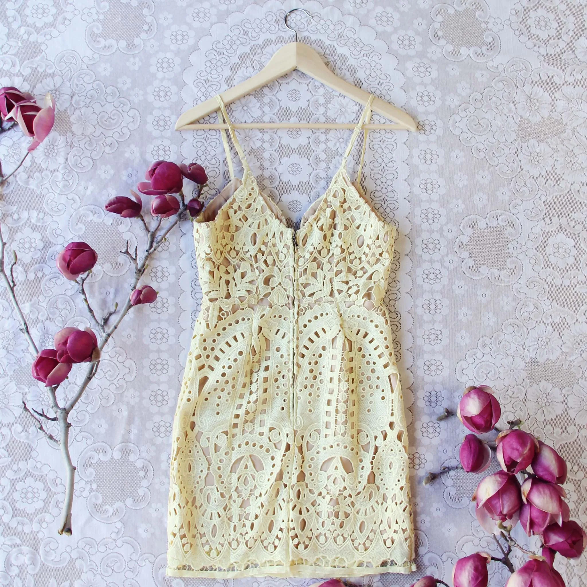 Fortune & Lace Dress