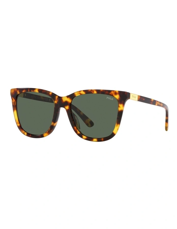 PH4201U Sunglasses in Tortoise