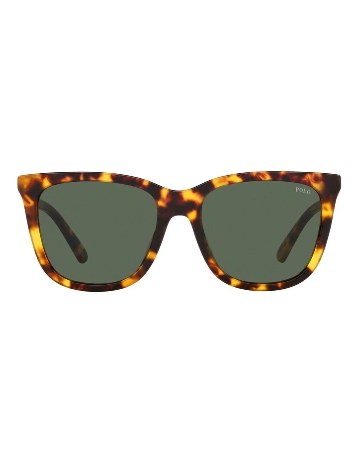 PH4201U Sunglasses in Tortoise