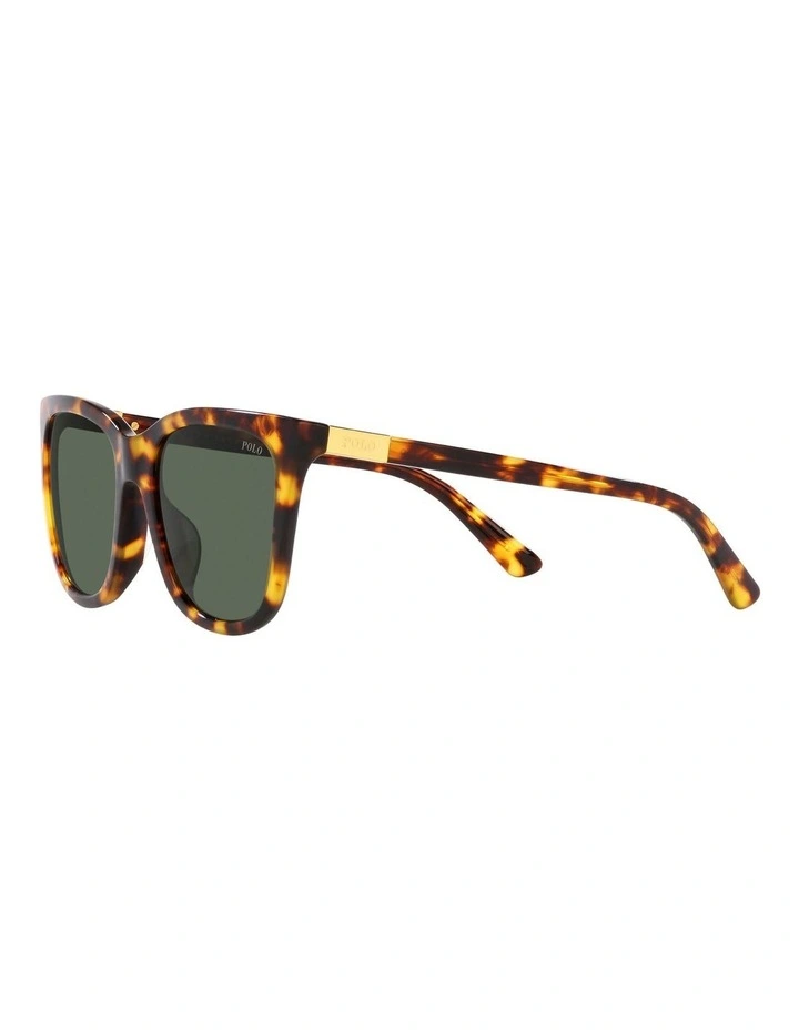 PH4201U Sunglasses in Tortoise