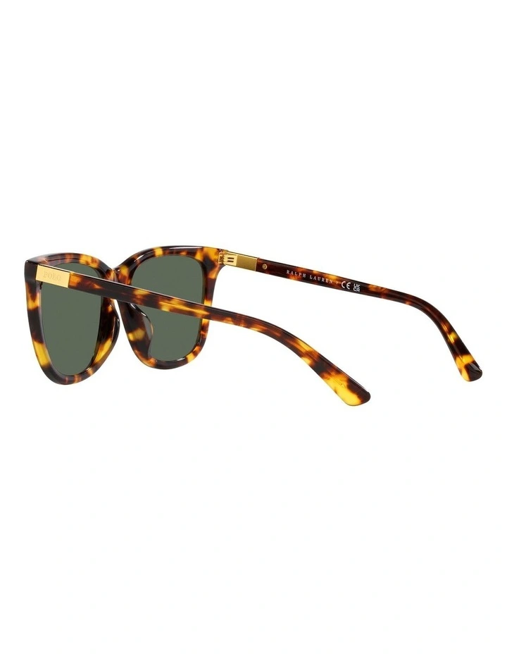 PH4201U Sunglasses in Tortoise