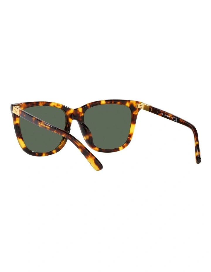 PH4201U Sunglasses in Tortoise