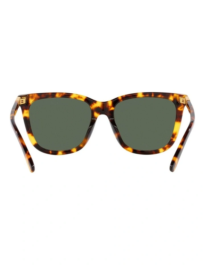 PH4201U Sunglasses in Tortoise